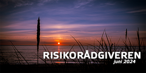 Risikorådgiveren #6